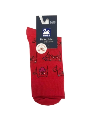 Skarpety Gatta U94.N03 Perfect Man Casual wzorowane 39-47