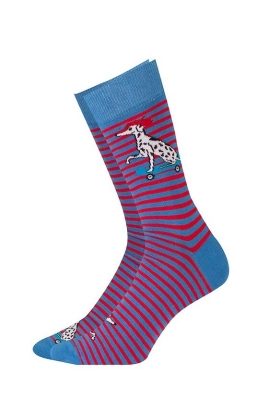 Skarpety Gatta U94.N03 Perfect Man Casual wzorowane 39-47